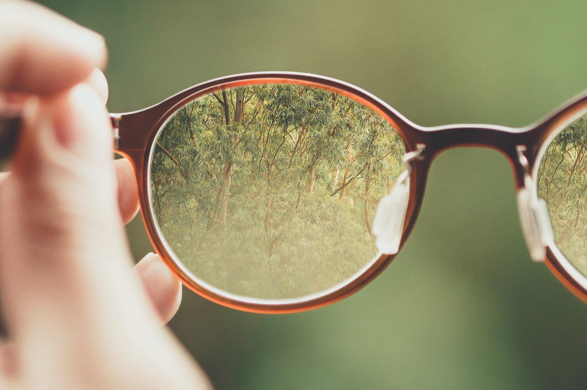 person holding brown eyeglasses with green trees background